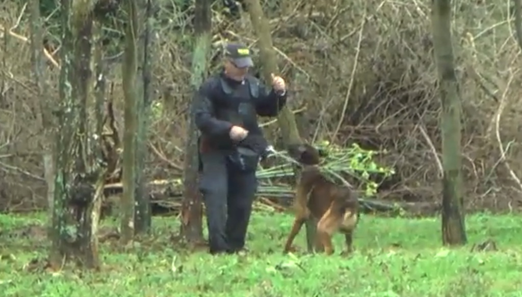 Drogenspürhund-01